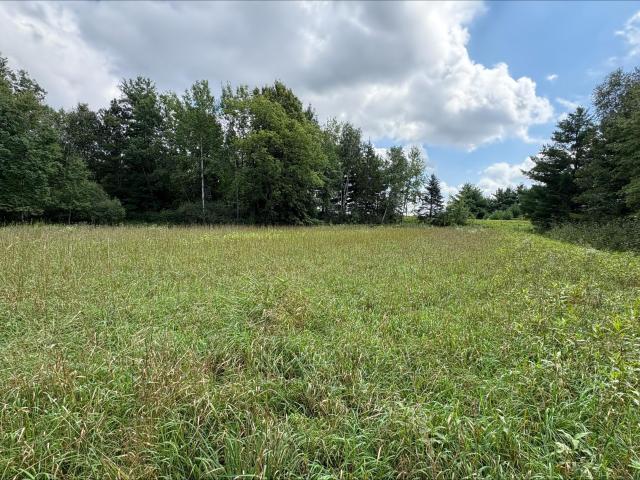 Land for sale in Cedar Lake, Wisconsin