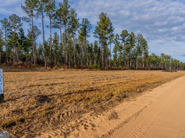 Land for sale in Brooklet, Georgia
