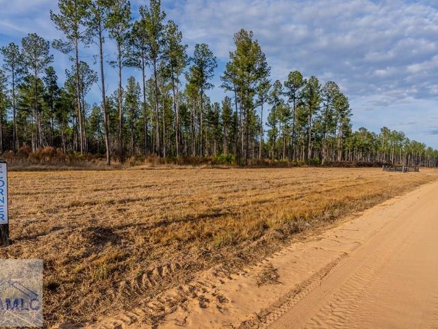Land for sale in Akins, Brooklet