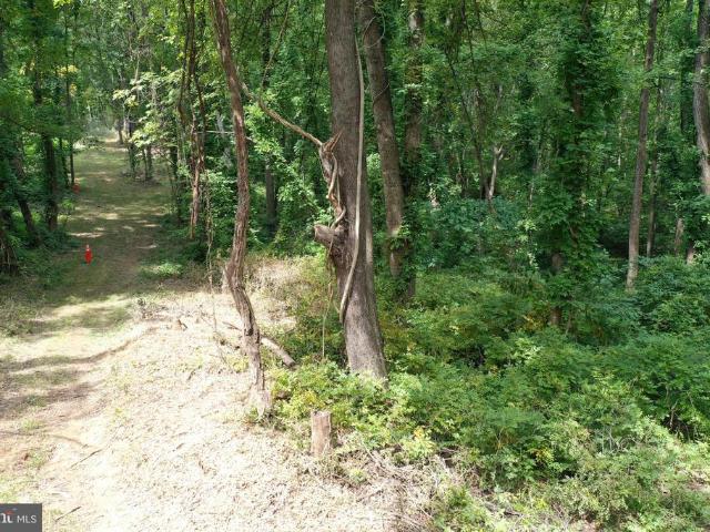 Land for sale in Virginia