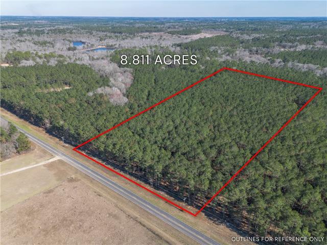 Land for sale in Dodge, Georgia
