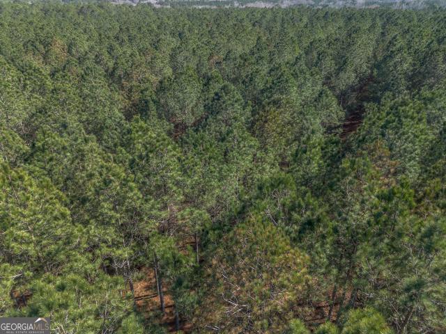 Land for sale in Dodge, Georgia