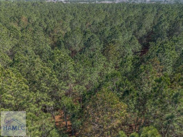 Land for sale in Dodge, Georgia
