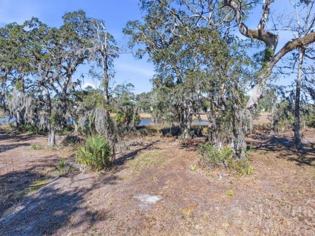 Land for sale in Midway, Georgia