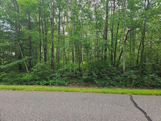 Land for sale in Grand Rapids, Minnesota