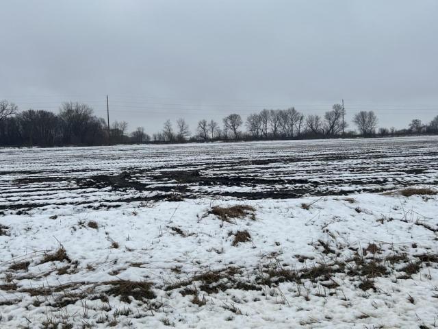 Land for sale in Minnesota
