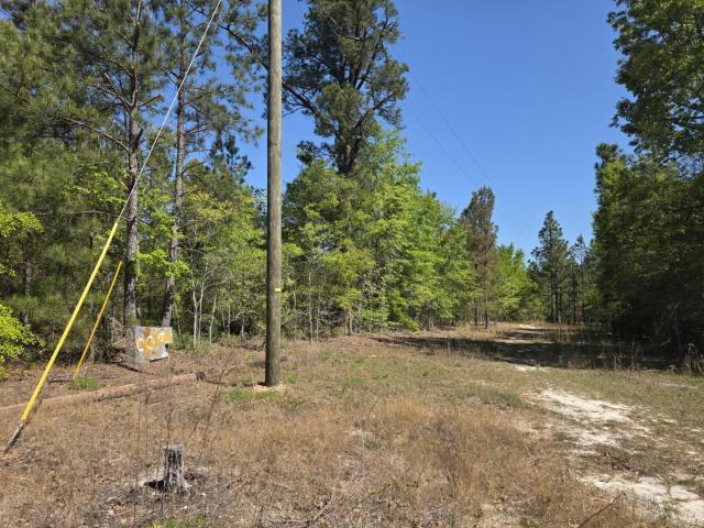 Land for sale in Williston, South Carolina