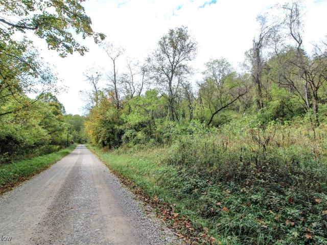 Land for sale in Ohio