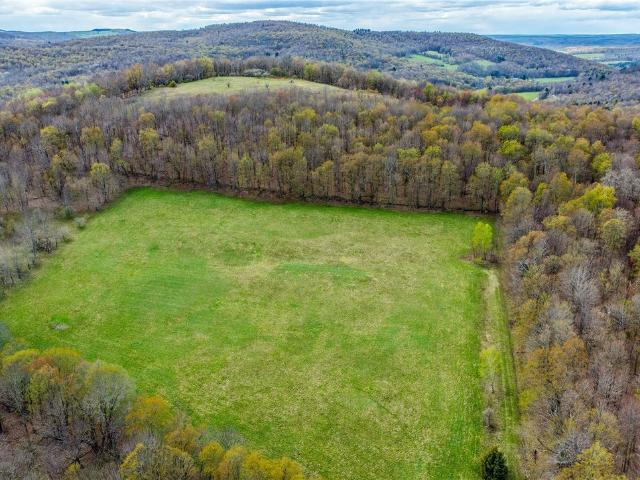 Land for sale in New York