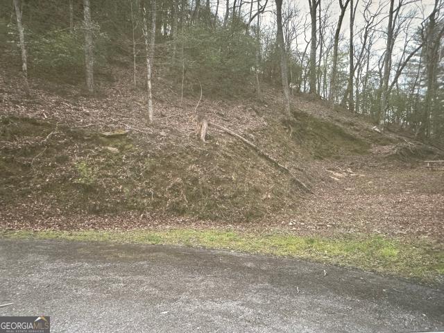 Land for sale in Hiawassee, Georgia