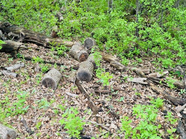 Land for sale in Minnesota