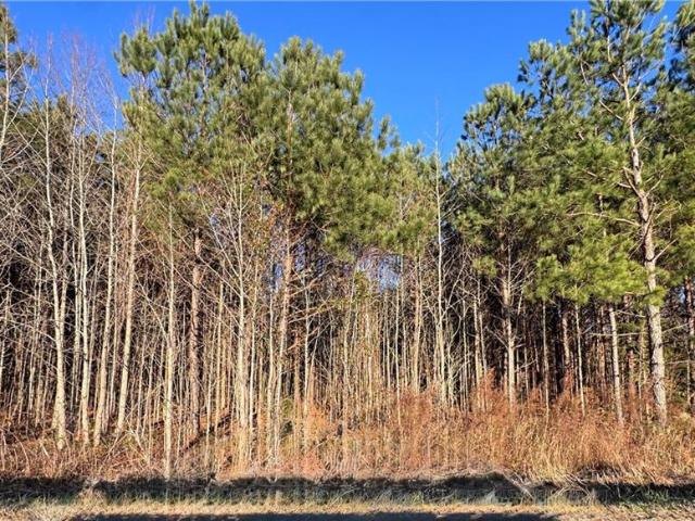 Land for sale in Virginia