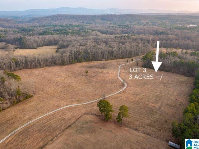 Land for sale in Jacksonville, Alabama