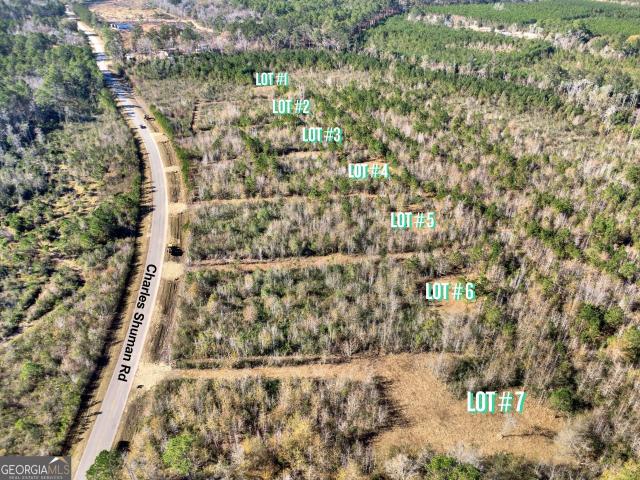 Land for sale in Pembroke, Bryan County