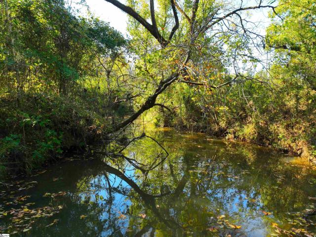 Land for sale in Calhoun Falls, Abbeville County