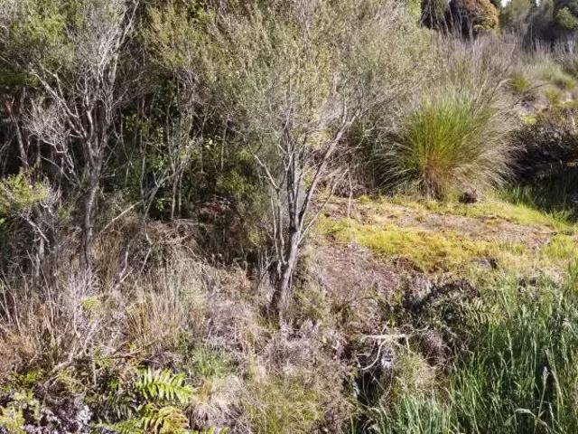 House for sale in West Coast