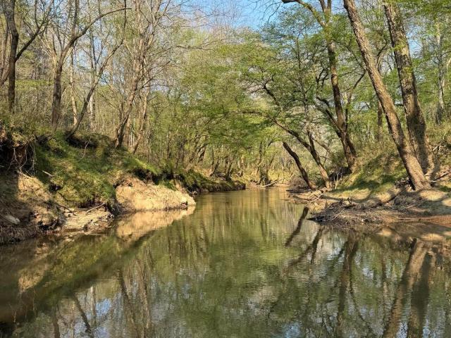 Land for sale in McCormick County, South Carolina