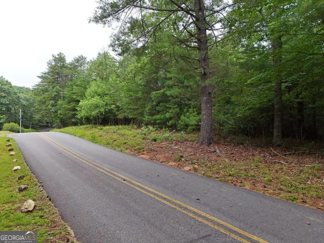 Land for sale in Blairsville, Georgia