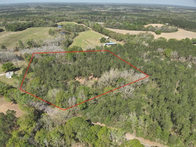Land for sale in Geneva, Alabama