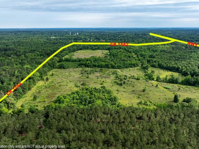 Land for sale in Avinger, Texas