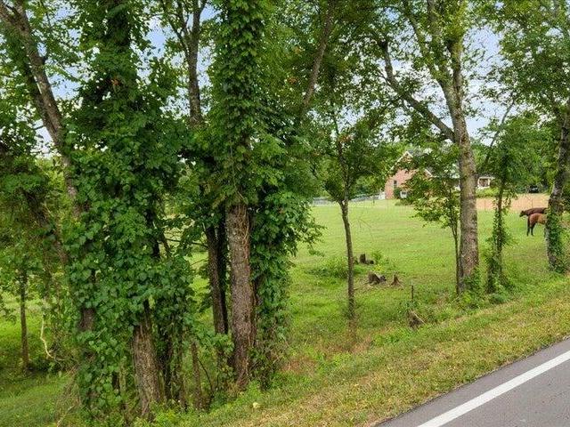 Land for sale in Riceville