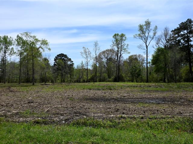 Land for sale in Liberty, Texas