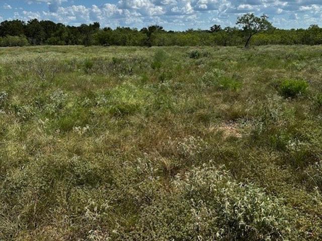 Land for sale in Waelder, Texas