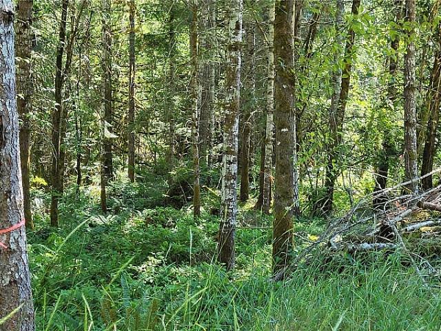 Land for sale in British Columbia