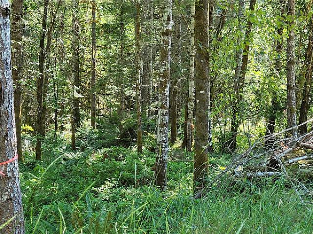 Land for sale in British Columbia