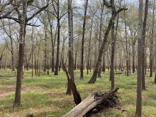 Land for sale in Leon, Texas