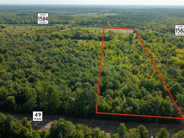 Land for sale in Avinger, Texas