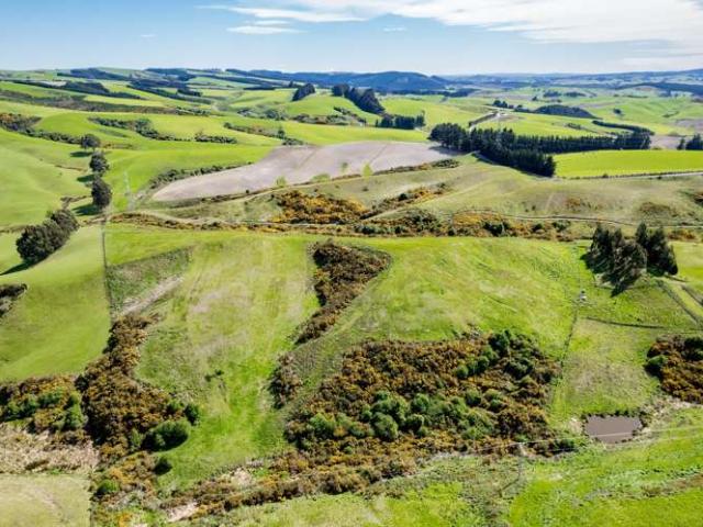 Property for sale in Otakou