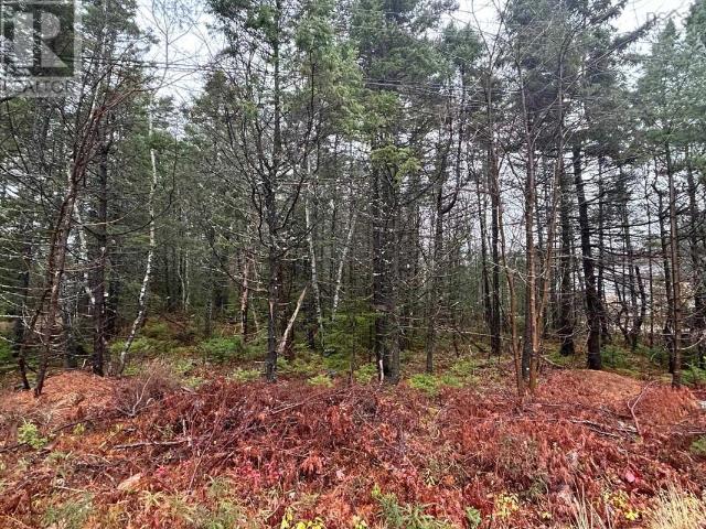 Land for sale in Chester Basin, Nova Scotia