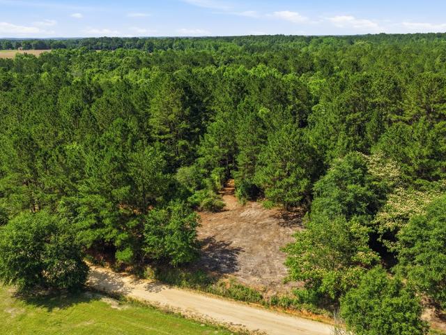 Land for sale in Opp, Alabama