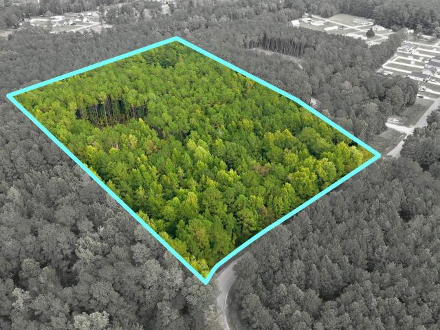Land for sale in Loris, Horry County