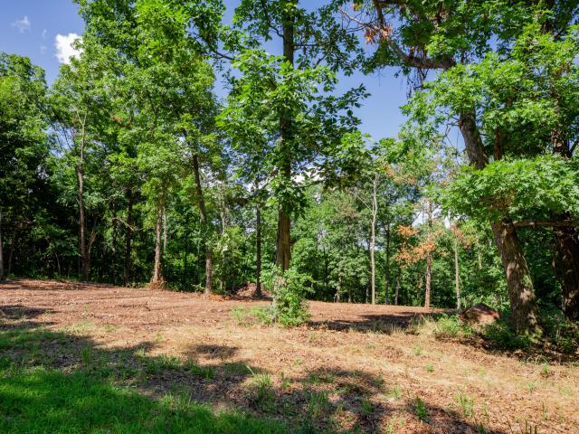 Land for sale in Bolivar