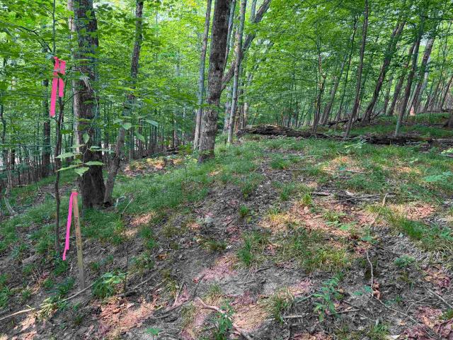 Land for sale in Maple City, Michigan