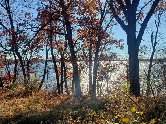 Land for sale in Star Prairie, Wisconsin