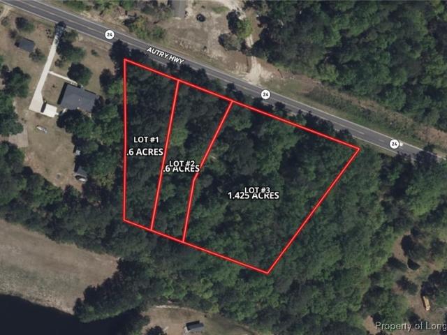 Land for sale in Autryville, North Carolina