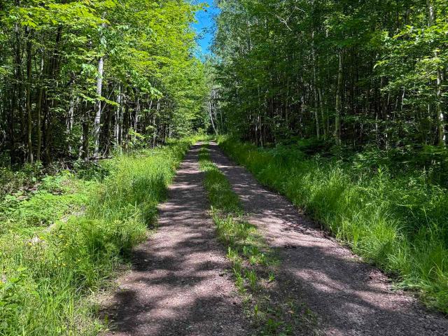 Land for sale in Michigan