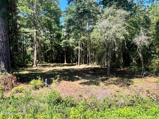 Land for sale in Belhaven, North Carolina