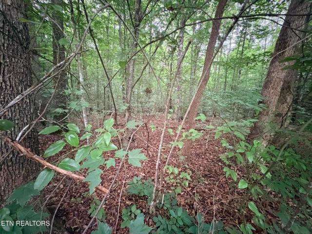 Land for sale in Tennessee
