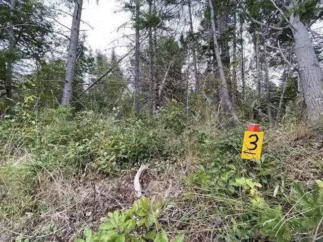 House for sale in Murray River, Prince Edward Island