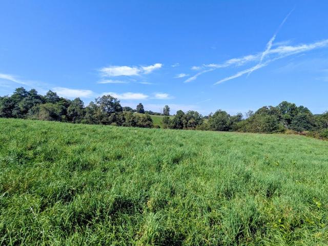 Land for sale in Virginia