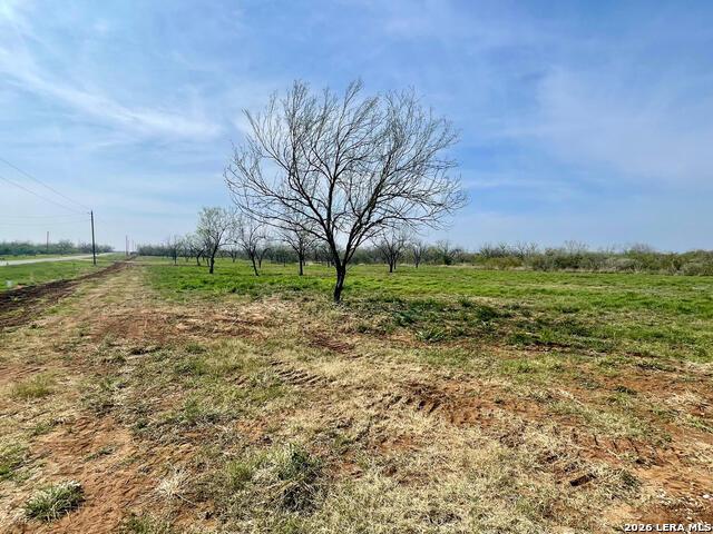 Land for sale in Jourdanton, Atascosa County
