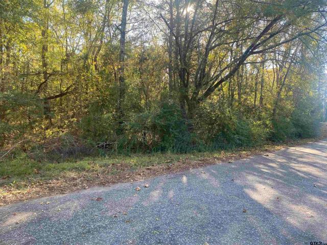 Land for sale in Smith, Texas