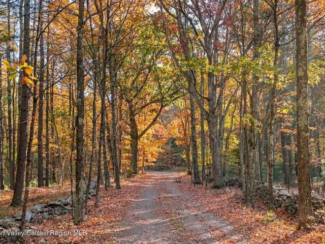 Land for sale in Lawrenceville, Town of Catskill
