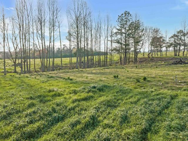 Land for sale in Rainsville, Alabama
