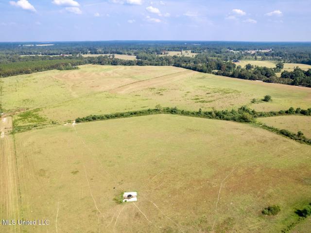 Land for sale in White Sand, Poplarville