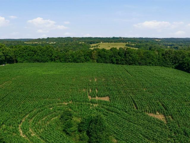 Land for sale in Brownsville, Kentucky